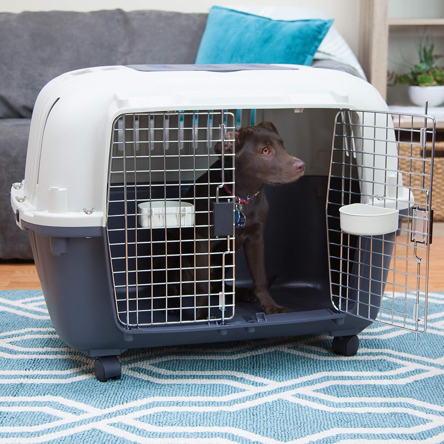SportPet Designs Plastic Kennels Rolling Plastic Airline Approved Wire Door Travel Dog Crate, XXX-Large, Gray